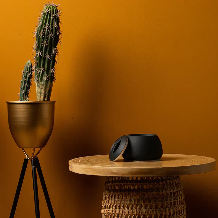 Dental pod: Ultrasonic Cleaning Dos and Don