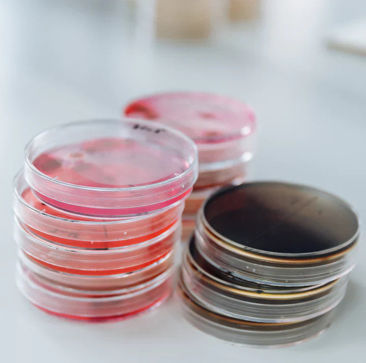 Do Dental Pods Really Work? Comparing Different Aligner Cleaning Methods (2025) - Dr. Jack Pinnar-Smith